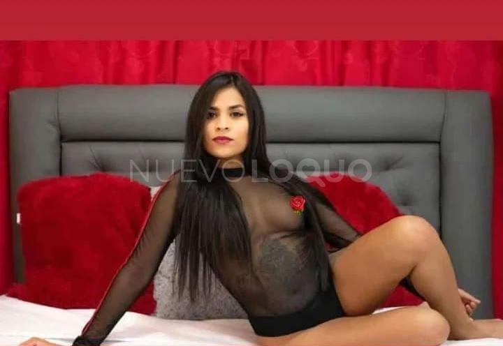 NuevoLoquo2
