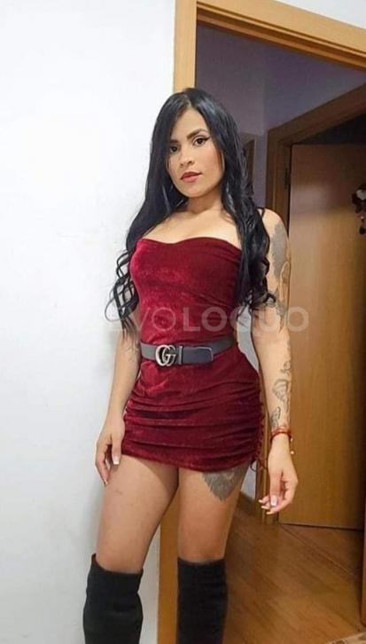NuevoLoquo4