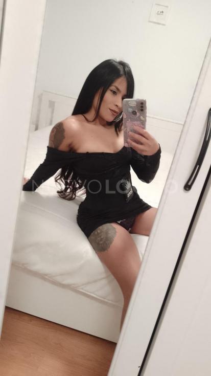 NuevoLoquo3