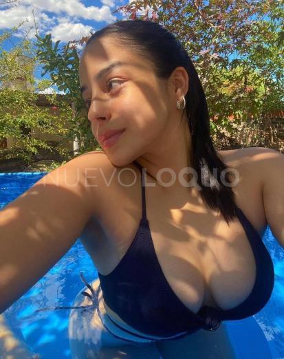 NuevoLoquo3