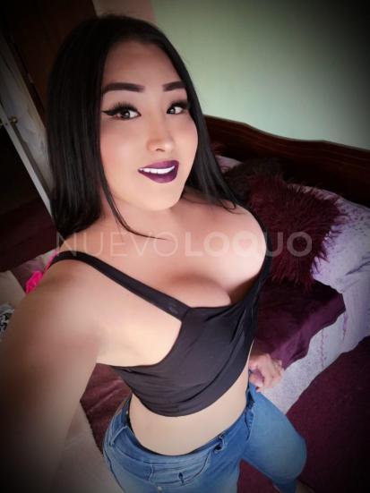  DIVERSION Y BOMBA LATINA,