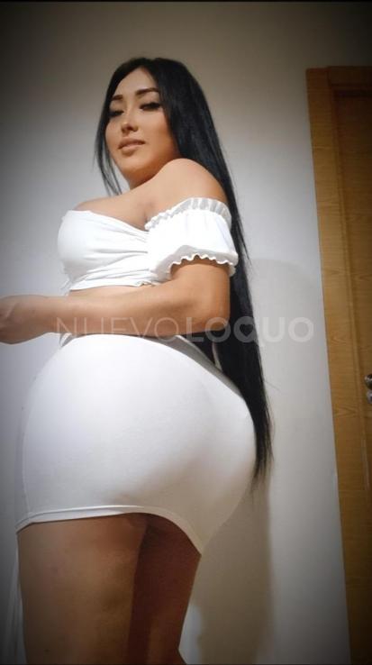 NuevoLoquo4