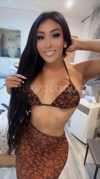 NuevoLoquo3
