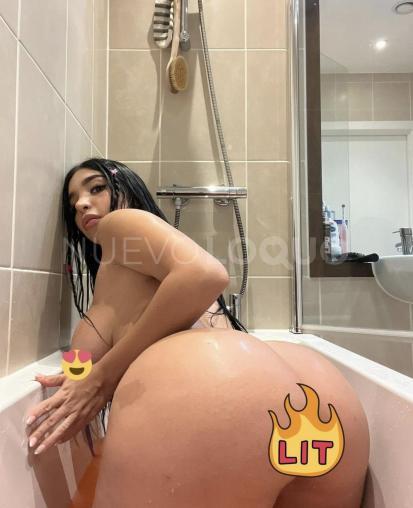 NuevoLoquo5