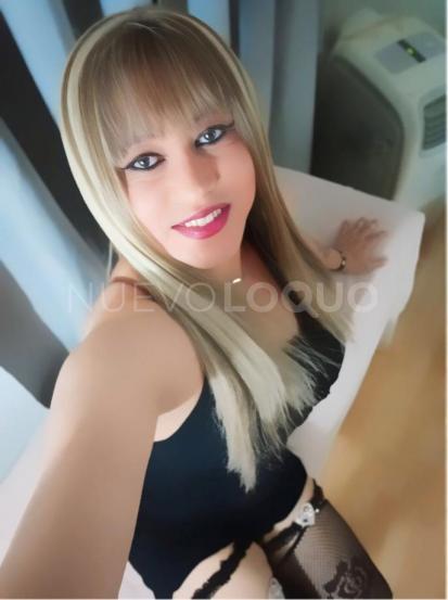 NuevoLoquo3