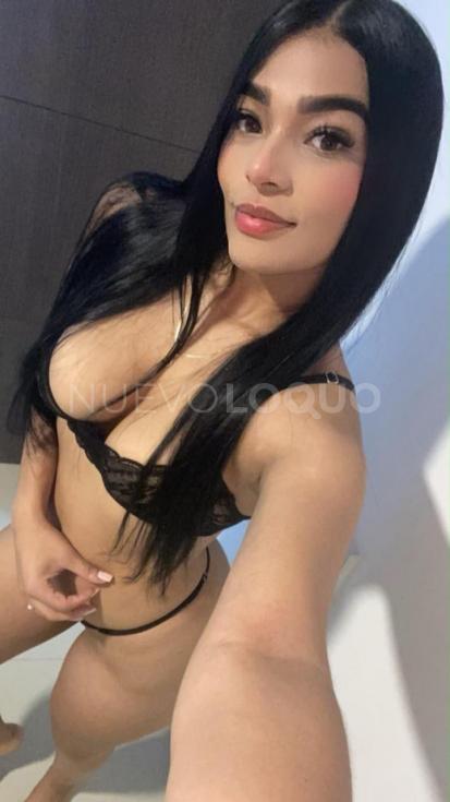  novedad. Todos los servicios