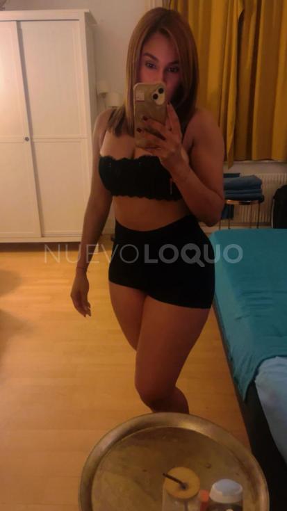 NuevoLoquo3