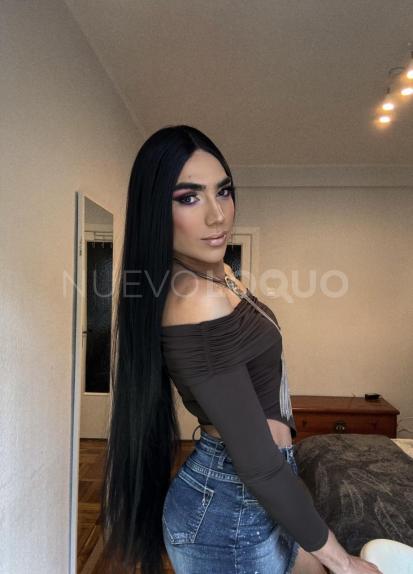 NuevoLoquo3