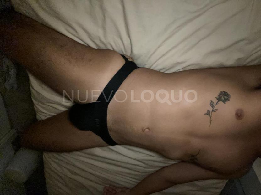 NuevoLoquo2