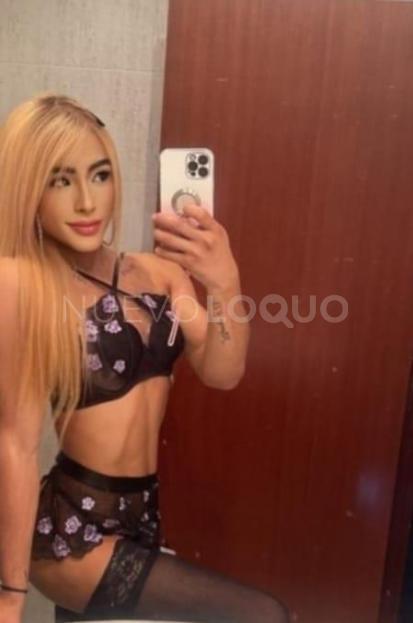 NuevoLoquo2