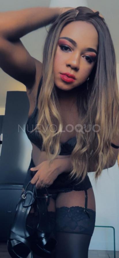 NuevoLoquo2