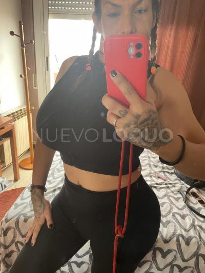 NuevoLoquo2