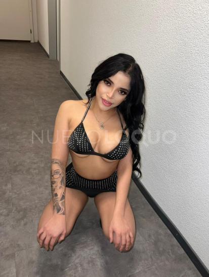 NuevoLoquo1