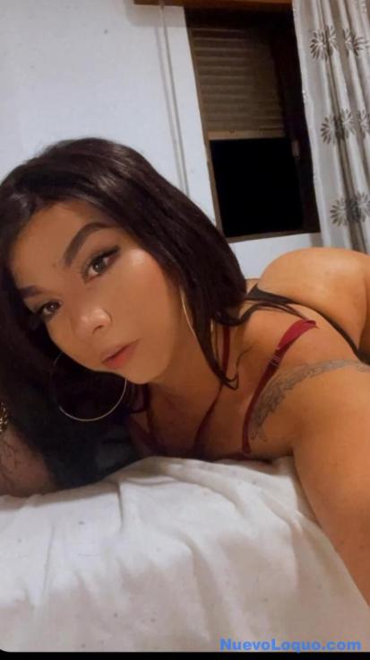 NuevoLoquo4