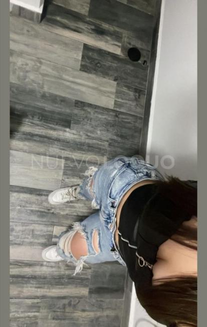 NuevoLoquo3