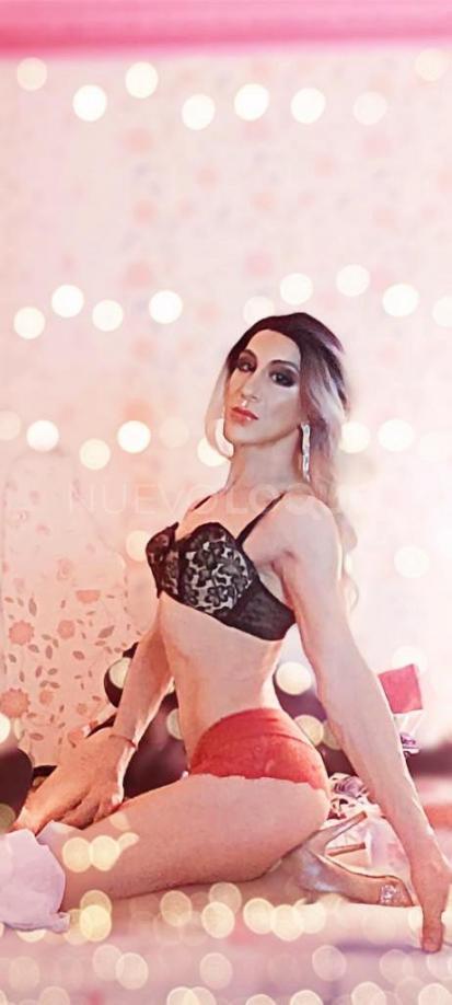 NuevoLoquo3