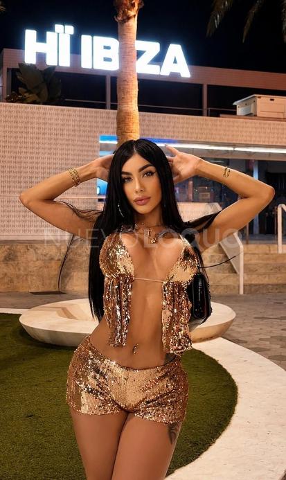 NuevoLoquo3