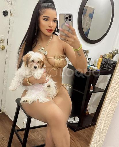 NuevoLoquo3
