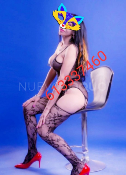 NuevoLoquo1