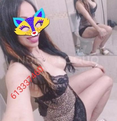 NuevoLoquo3