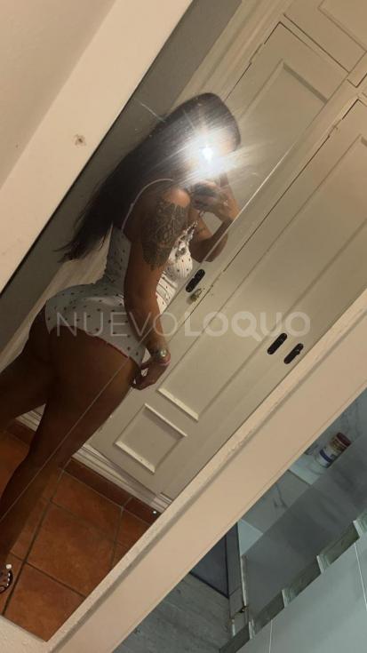 NuevoLoquo2