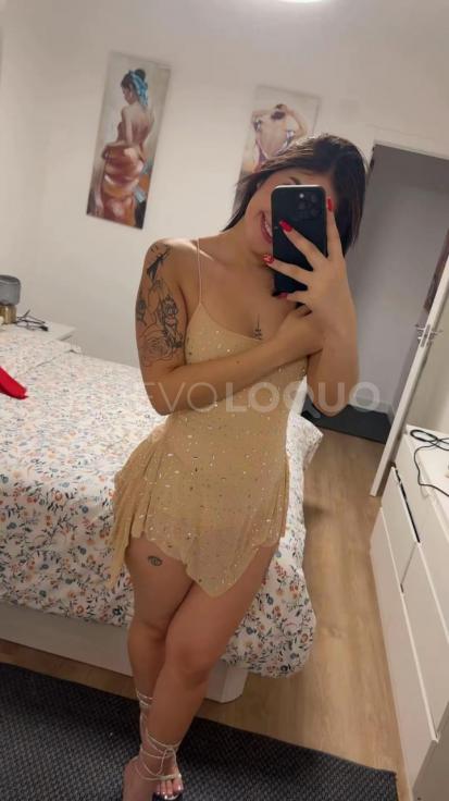 NuevoLoquo4
