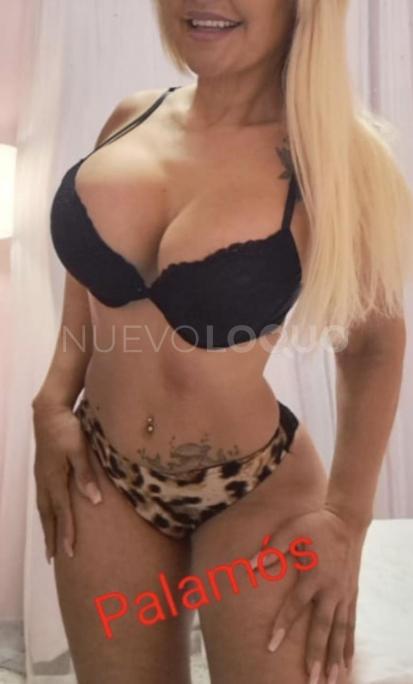 NuevoLoquo3