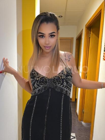 NuevoLoquo2