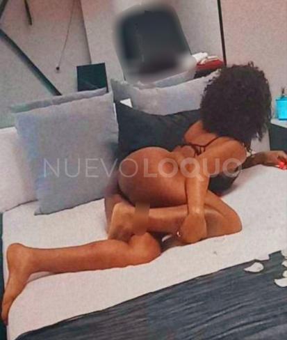 NuevoLoquo2