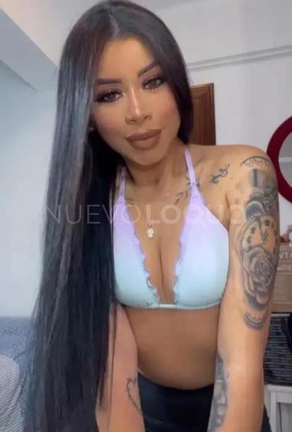 NuevoLoquo1
