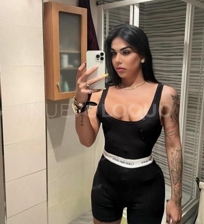 NuevoLoquo3