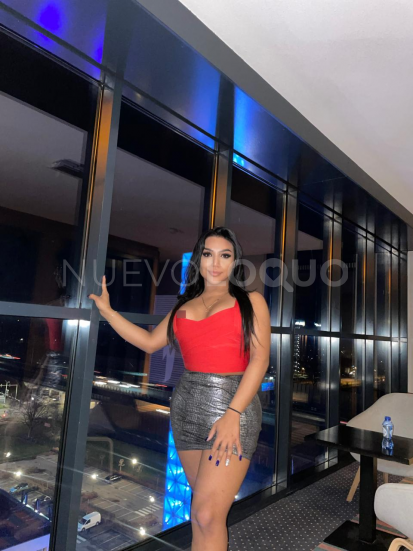 NuevoLoquo3