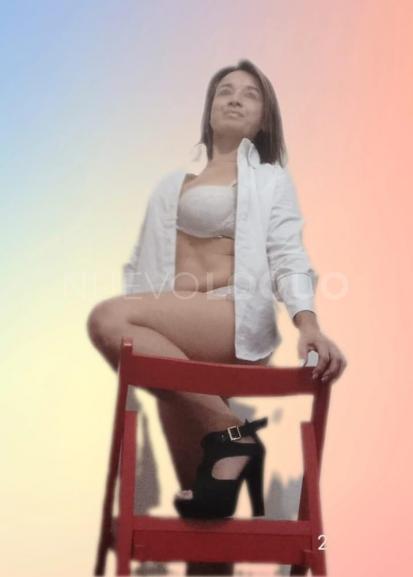 NuevoLoquo3