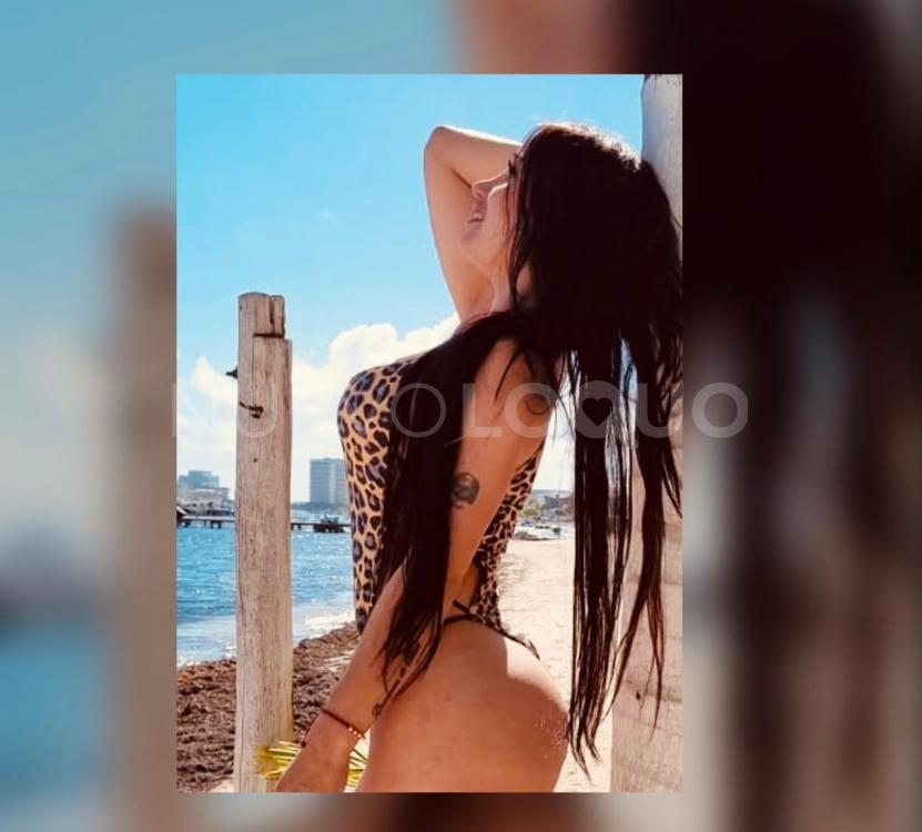NuevoLoquo3