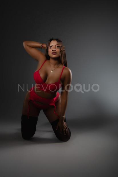 NuevoLoquo2