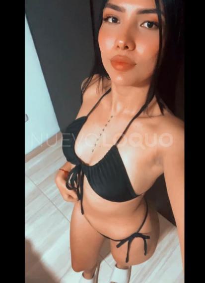 NuevoLoquo3