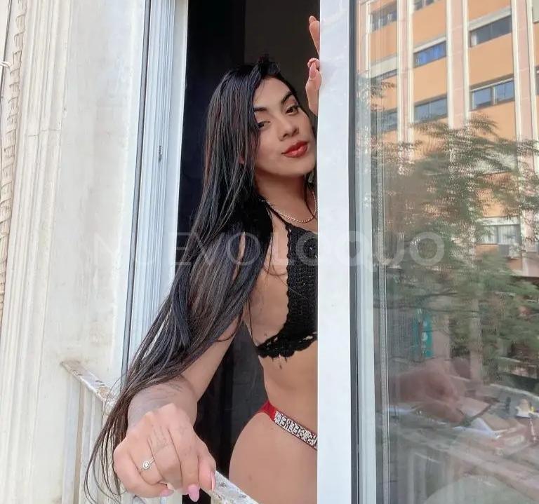  Chica de compañía h