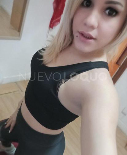 NuevoLoquo3