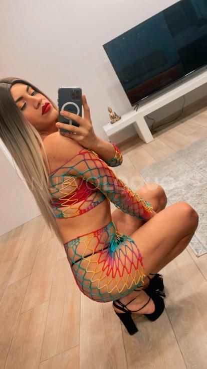 NuevoLoquo2