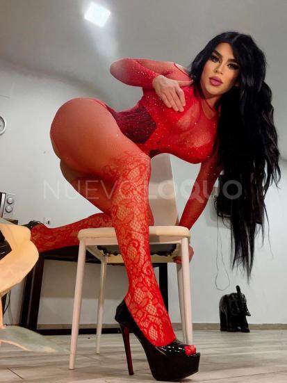 NuevoLoquo3