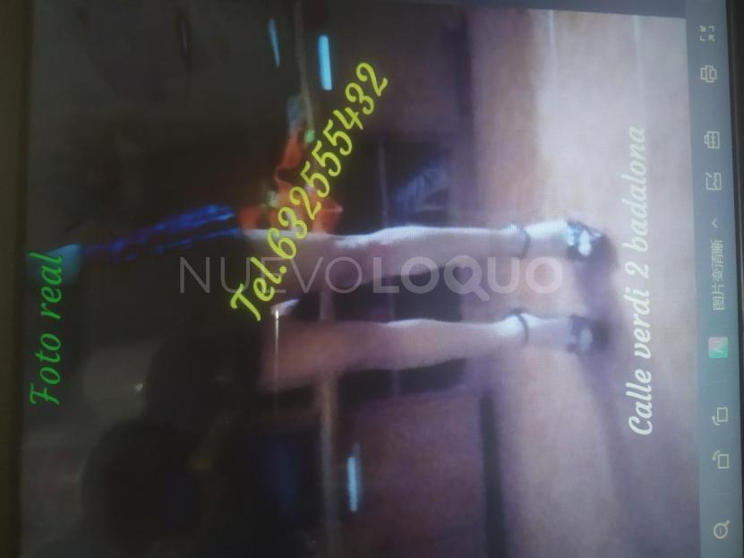 NuevoLoquo5