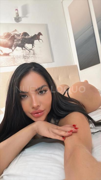 NuevoLoquo4