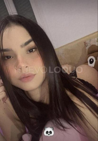NuevoLoquo3