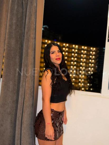 NuevoLoquo2