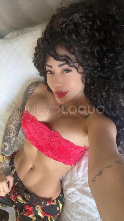 NuevoLoquo1