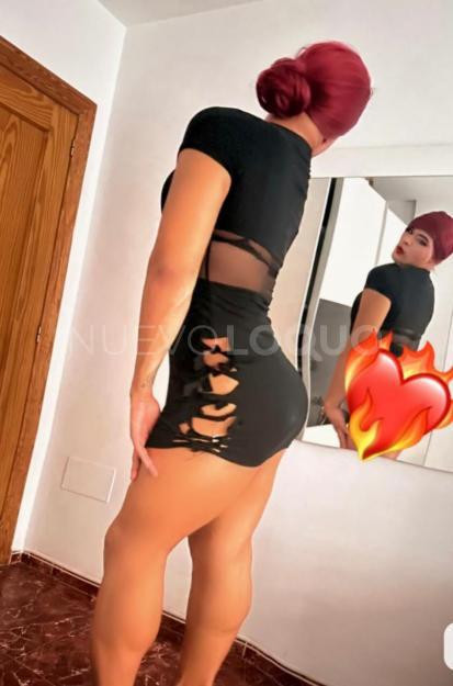 NuevoLoquo4