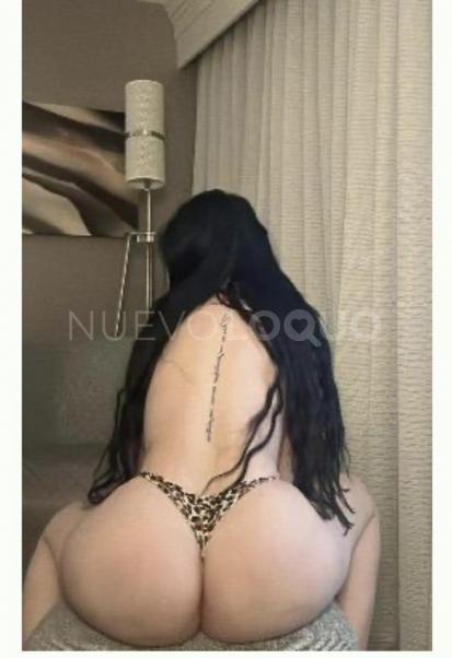 NuevoLoquo2
