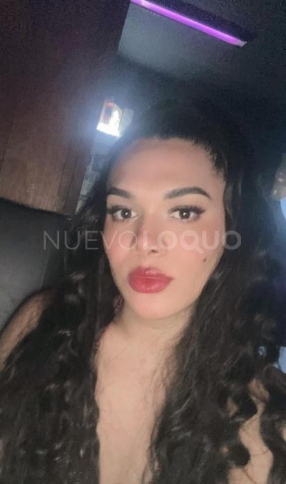NuevoLoquo2
