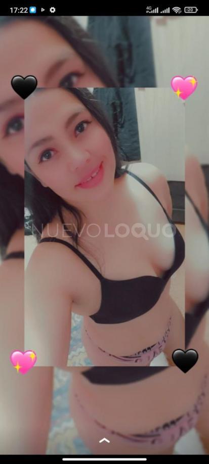 NuevoLoquo1