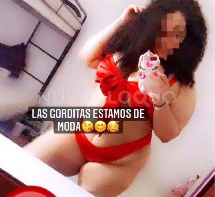 NuevoLoquo2